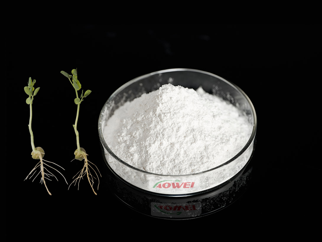 Plant Growth Regulator Zeatin 0.1%WP Cytokinin PGR 