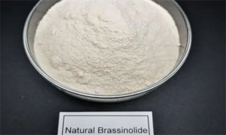Brassinolide (BRs) can alleviating pesticide damage